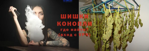 PSILOCYBIN Белокуриха