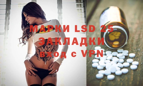 PSILOCYBIN Белокуриха