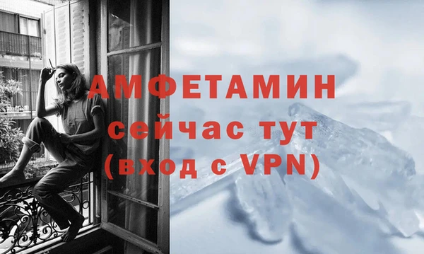 PSILOCYBIN Белокуриха